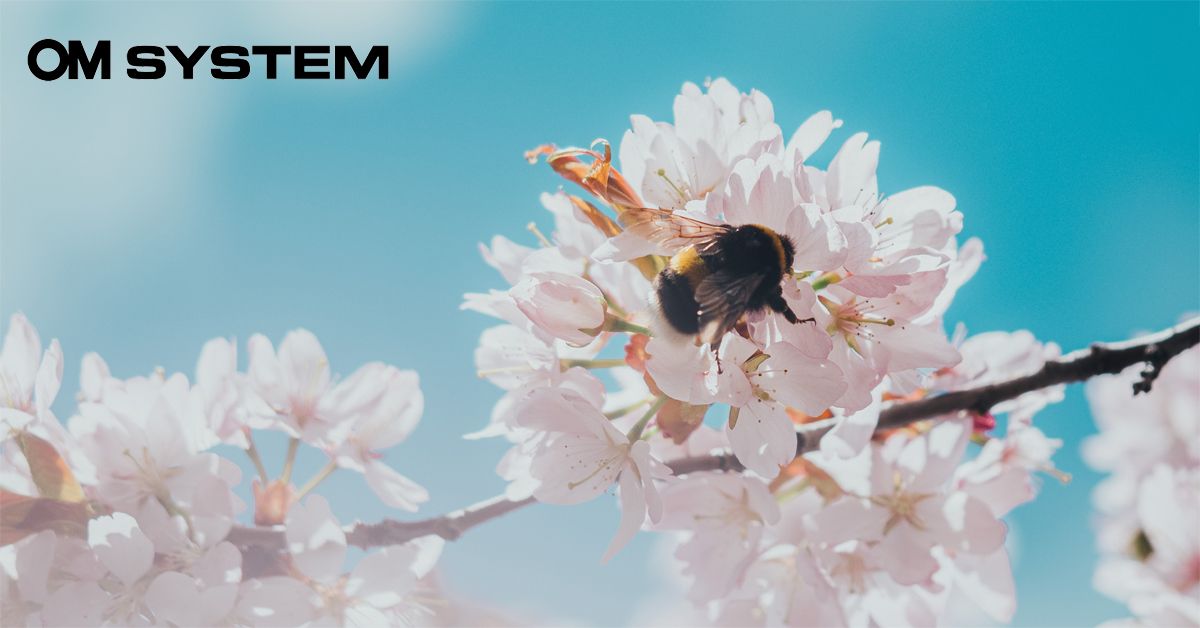 Valitud OM System kaamera või M. Zuiko objektiivi ostul säästad kuni 600€