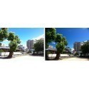 Gizmon SmartClip + circular polarizer filter