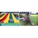 Gizmon SmartClip + Center focus filter