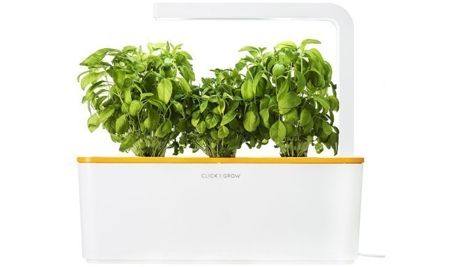 Click & Grow Smart Herb Garden, orange