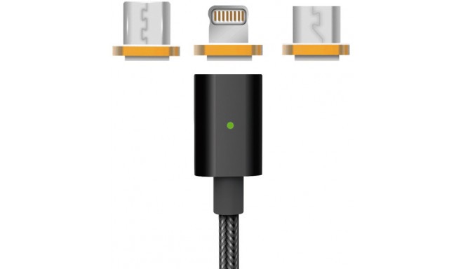Platinet kaabel 3in1 microUSB + Lightning + USB-C 1m magnetiga (PUCMP3)