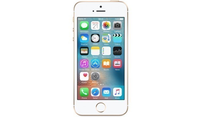 Apple iPhone SE 16GB, золотистый