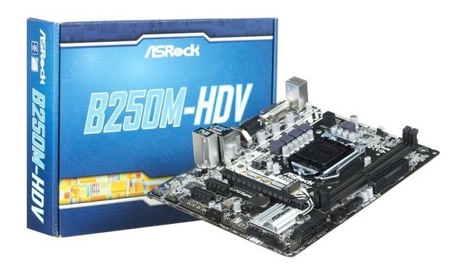 Motherboard Asrock  B250M-HDV (LGA 1151; 2 DDR4 DIMM; Micro ATX)