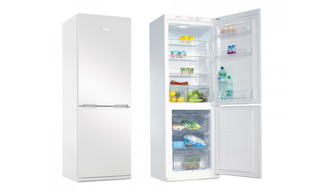 Amica refrigerator FK278.4 176cm