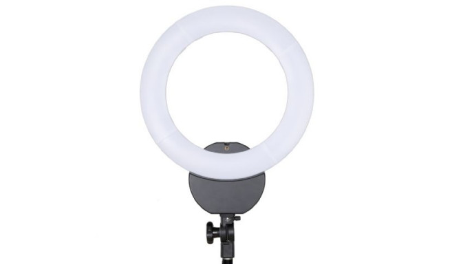 Linkstar ringvalgusti Bi-Color LED (564145)