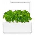 Click & Grow Smart Garden, white