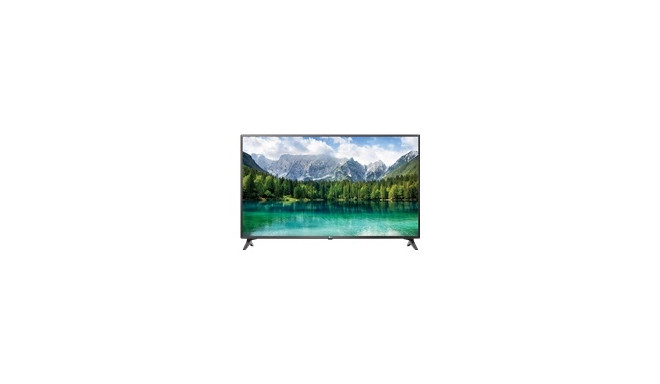 LG televiisor 49" Signage FullHD LED DVB-T2/S2/C