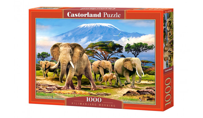 CASTORLAND puzzle Kilimanjaro Morning, 1000 el.  C-103188-2