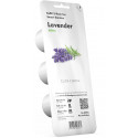 Click & Grow Smart Garden refill Lavender 3 штуки