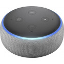 Amazon Echo Dot 3, hall