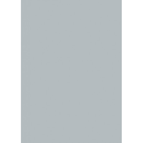 Käsitöökartong 50x70cm 300g helehall, Heyda