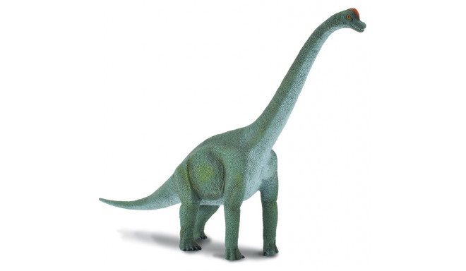 COLLECTA (L) Brahhiosaurus 88121
