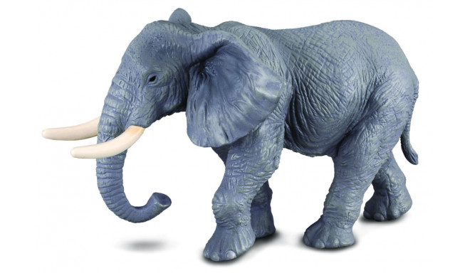 COLLECTA (XL) African Elephant 88025