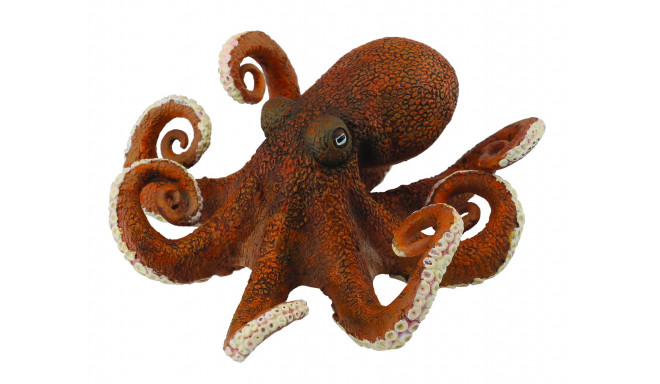 COLLECTA (XL) Astoņkājis 88485