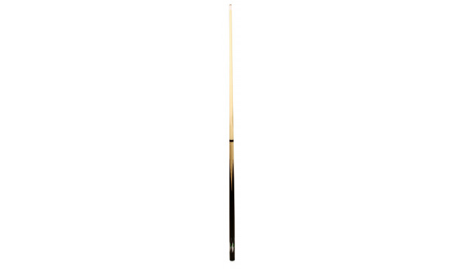Billiards Cue 2-section with Print Abbey