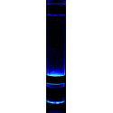 Alphacool Aurora LED Ring 50mm - blue