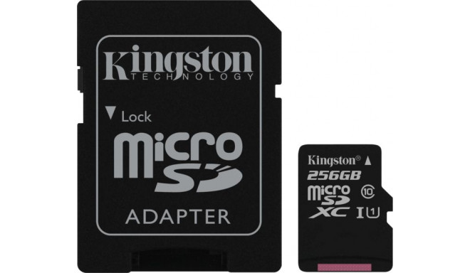 Kingston Canvas Select 256 GB microSDXC UHS-I (U1)