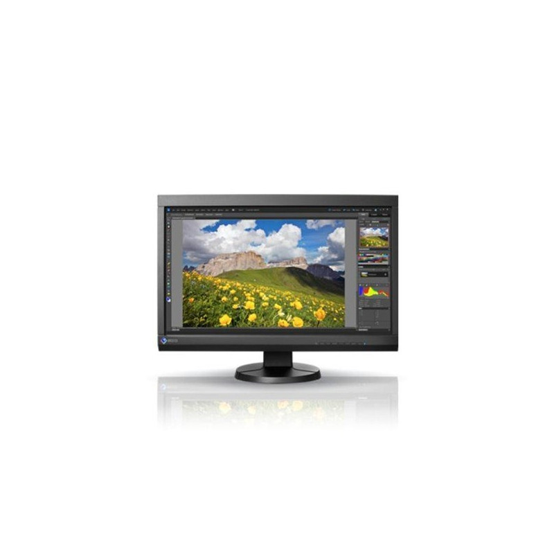 Cs monitor. Монитор Eizo COLOREDGE cs230. Eizo, модель cs230. Монитор 1plus cs240i.