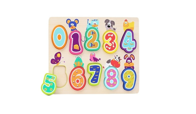 Puzzle Learning to count