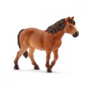 Dartmoor pony mare