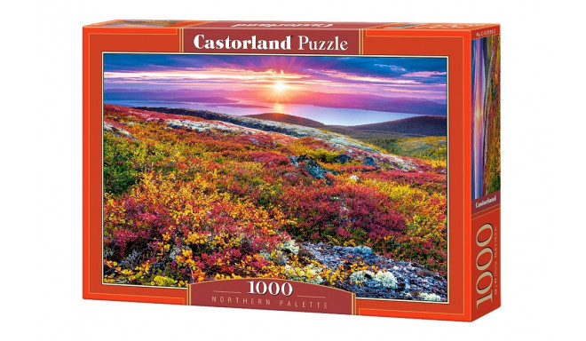 Castorland puzzle Meadow 1000pcs