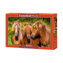 Castorland puzzle Horse Friends 1000pcs