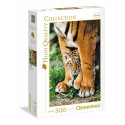 500 pcs Bengal tiger cub metween its mothers leg