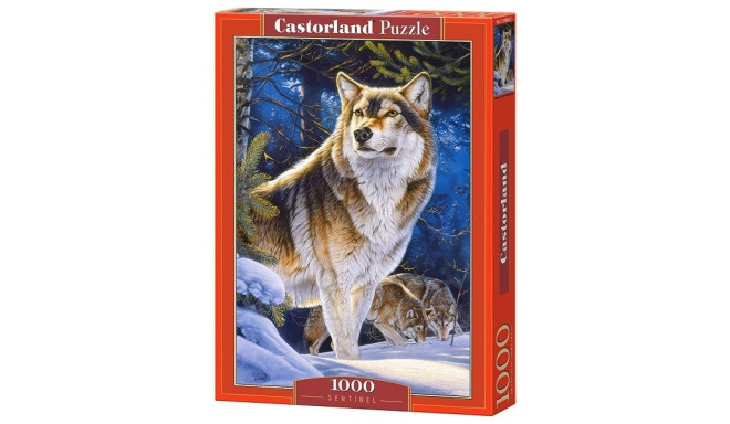 Castorland puzzle Sentinel 1000pcs