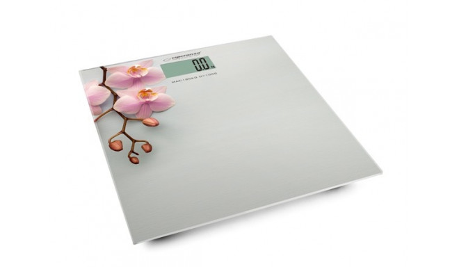 DIGITAL BATHROOM SCALE ORCHID EBS010