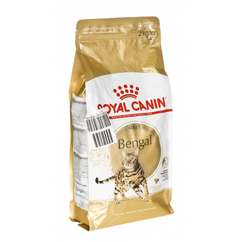 royal canin bengal dry food