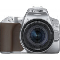 Canon EOS 250D + 18-55mm IS STM Kit, hõbedane