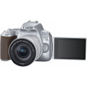 Canon EOS 250D + 18-55mm IS STM Kit, hõbedane