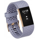 Fitbit Charge 2 Special Edition small          bluegrey/rosegold