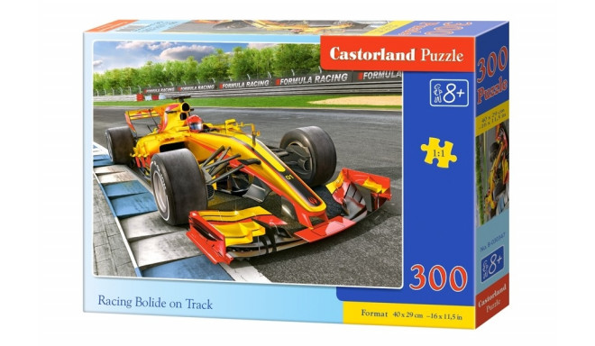Castorland pusle Racing bolide on track 300tk