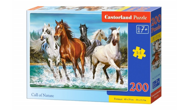 Castorland puzzle Call of nature 200pcs