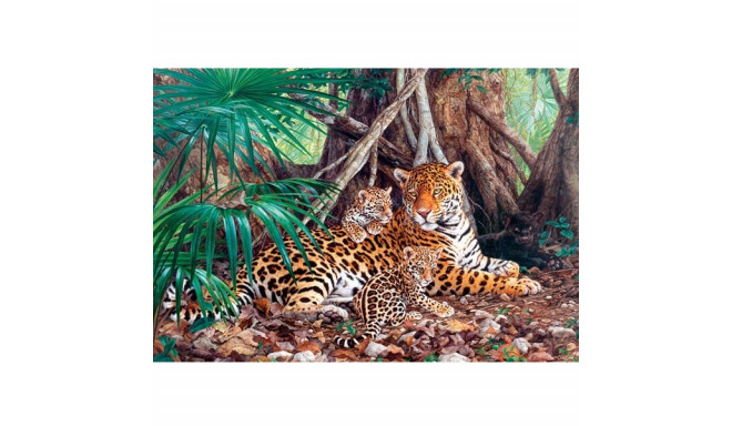 Castorland puzzle Jaguars in the Jungle 3000pcs