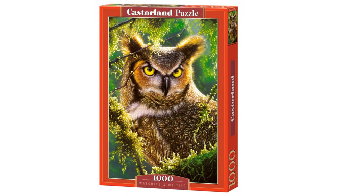 Castorland puzzle Owl Watching & Waiting 1000pcs