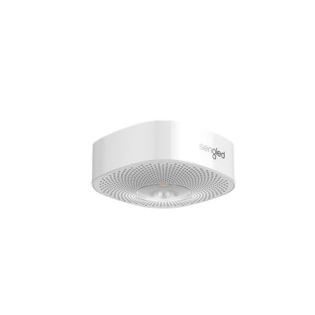 Sengled Pulse Wave SatelliteCeiling