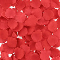 Lovers Premium rose petals Bed Of Roses 100pcs, red