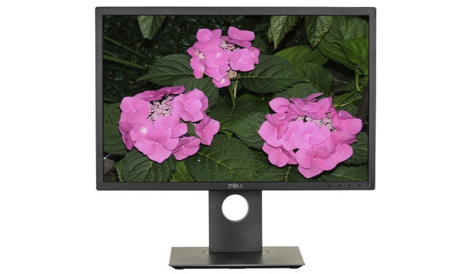 Dell monitor 22" WSXGA+ LCD LED P2217