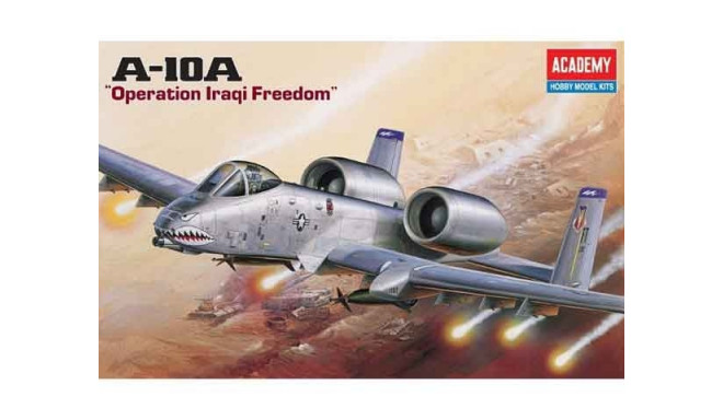 Plastic model A-10A aircraft &#39;Operation Iraqi Freedom&#39;