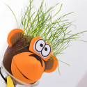 Animal Grass Head