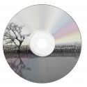 1x50 Verbatim DVD-R 4,7GB 16x shiny silver thermo transfer