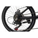 Bike electric Blaupunkt Carl Carl 290 (20"; 60 km; 7 gears; black color)