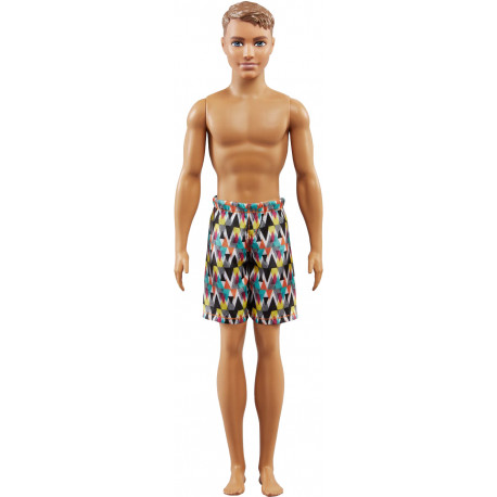 Barbie nukk Beach Ken (FJF09)