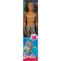 Barbie nukk Beach Ken (FJF09)