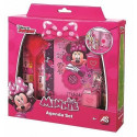 Diary of Minnie accessories