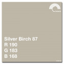 Colorama Paper Background 2.72 x 11 m Silver Birch