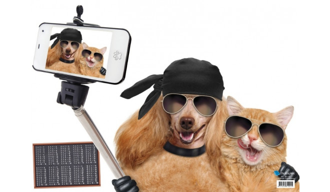 Lauamatt 530x400mm Kass-Koer-selfie/Rebased korrutustabel, Prolexplast