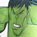 3D Child bag Hulk The Avengers 78438